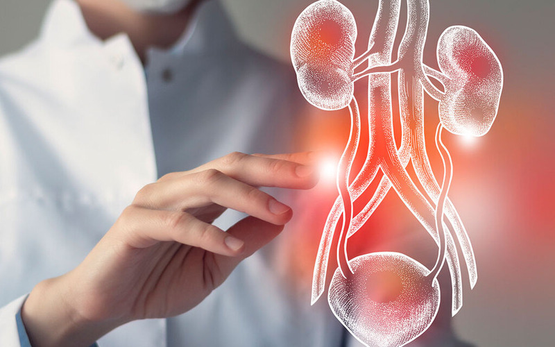 5 bien phap ho tro dieu tri viem duong tiet nieu hieu qua